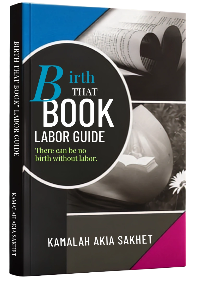 Birth That Book Labor Guide